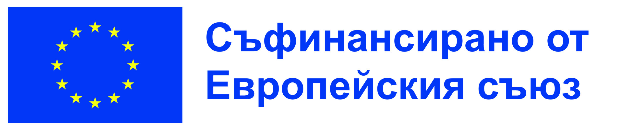 EU Logo